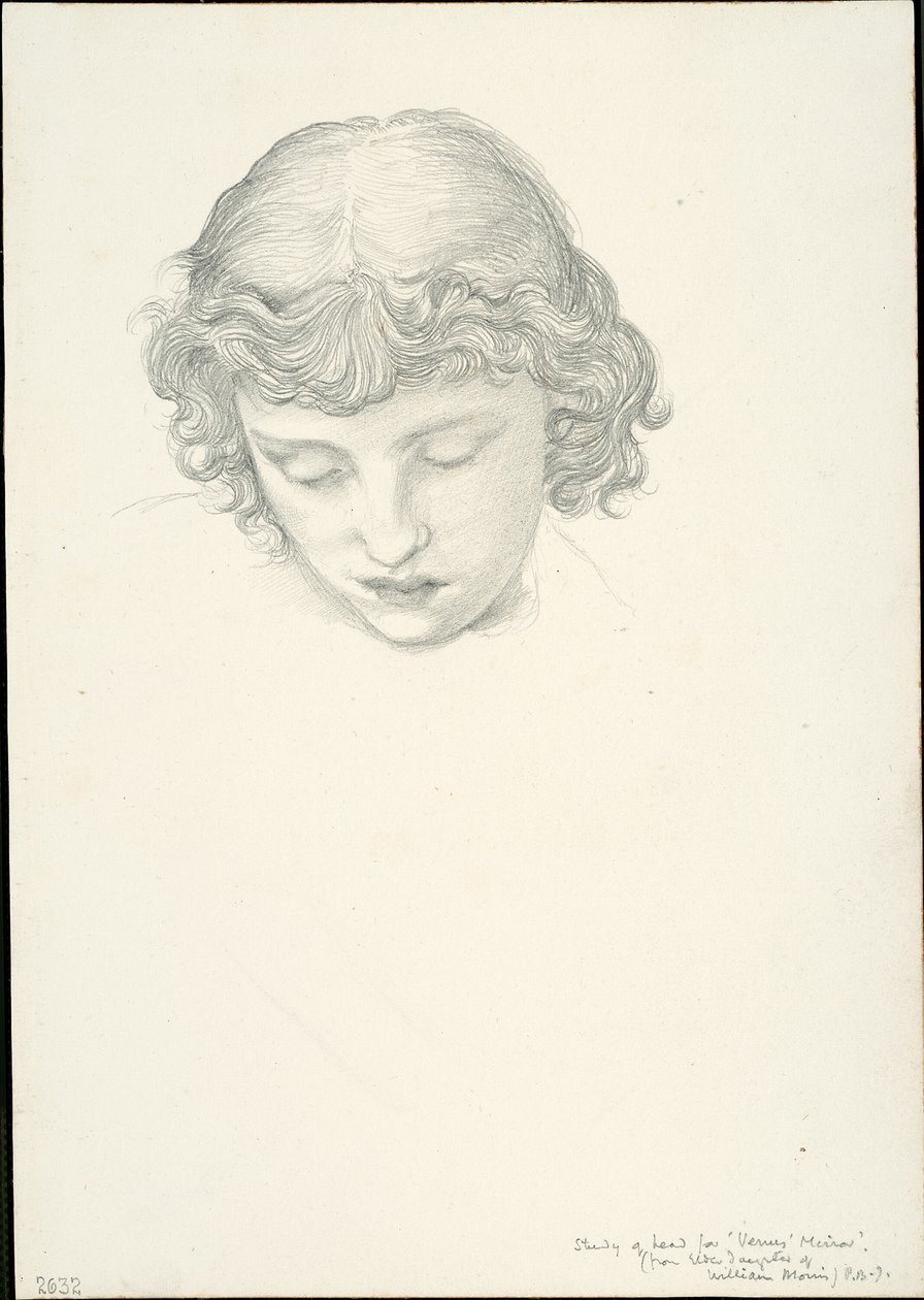 Studio per Specchio di Venere: Testa da Sir Edward Burne Jones