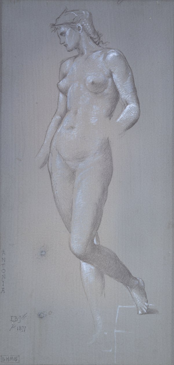 Antonia da Sir Edward Coley Burne Jones