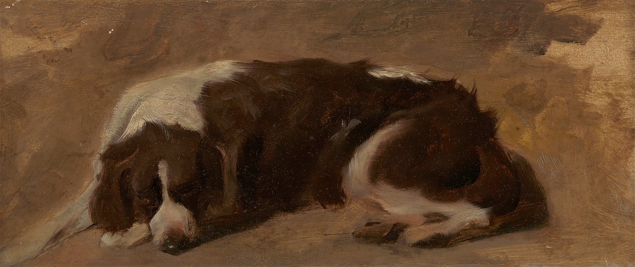 Un cocker spaniel sdraiato da Sir Edwin Henry Landseer