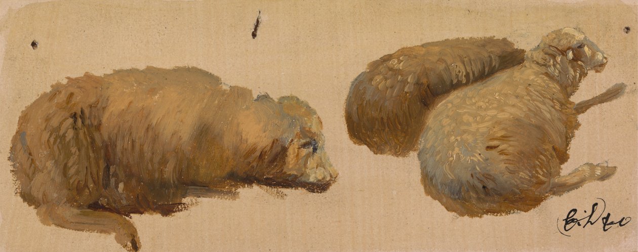 Tre pecore a riposo da Sir Edwin Henry Landseer