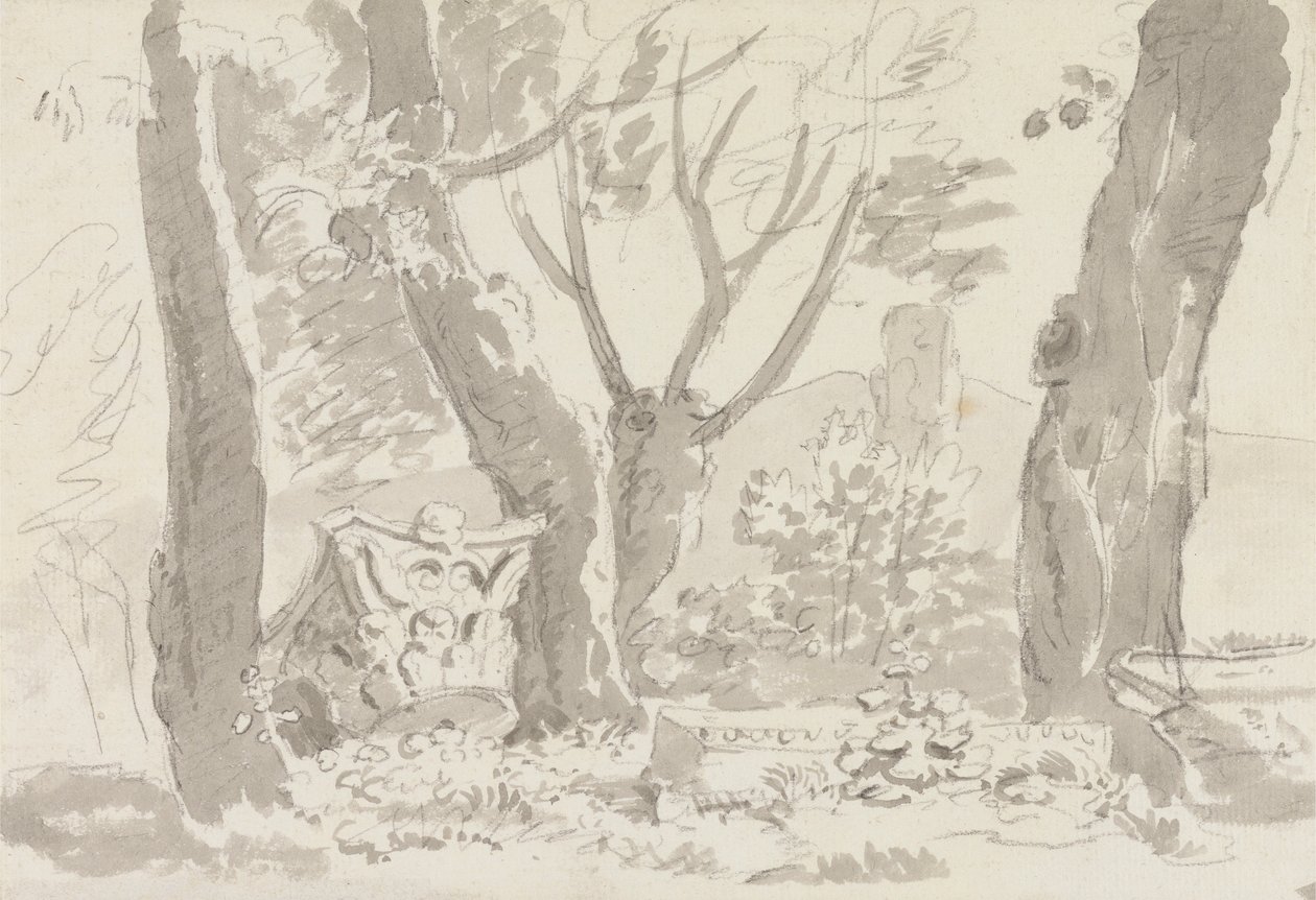 Monte Palatino da Sir George Howland Beaumont seventh Baronet