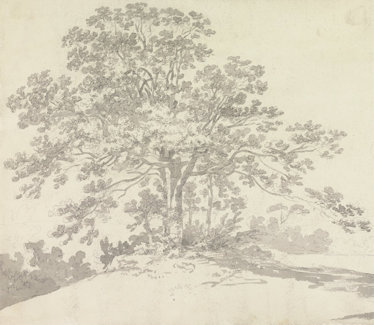 Albero da Sir George Howland Beaumont seventh Baronet