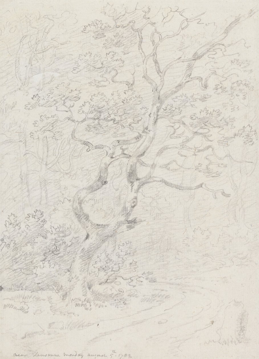 Alberi, vicino a Losanna da Sir George Howland Beaumont seventh Baronet