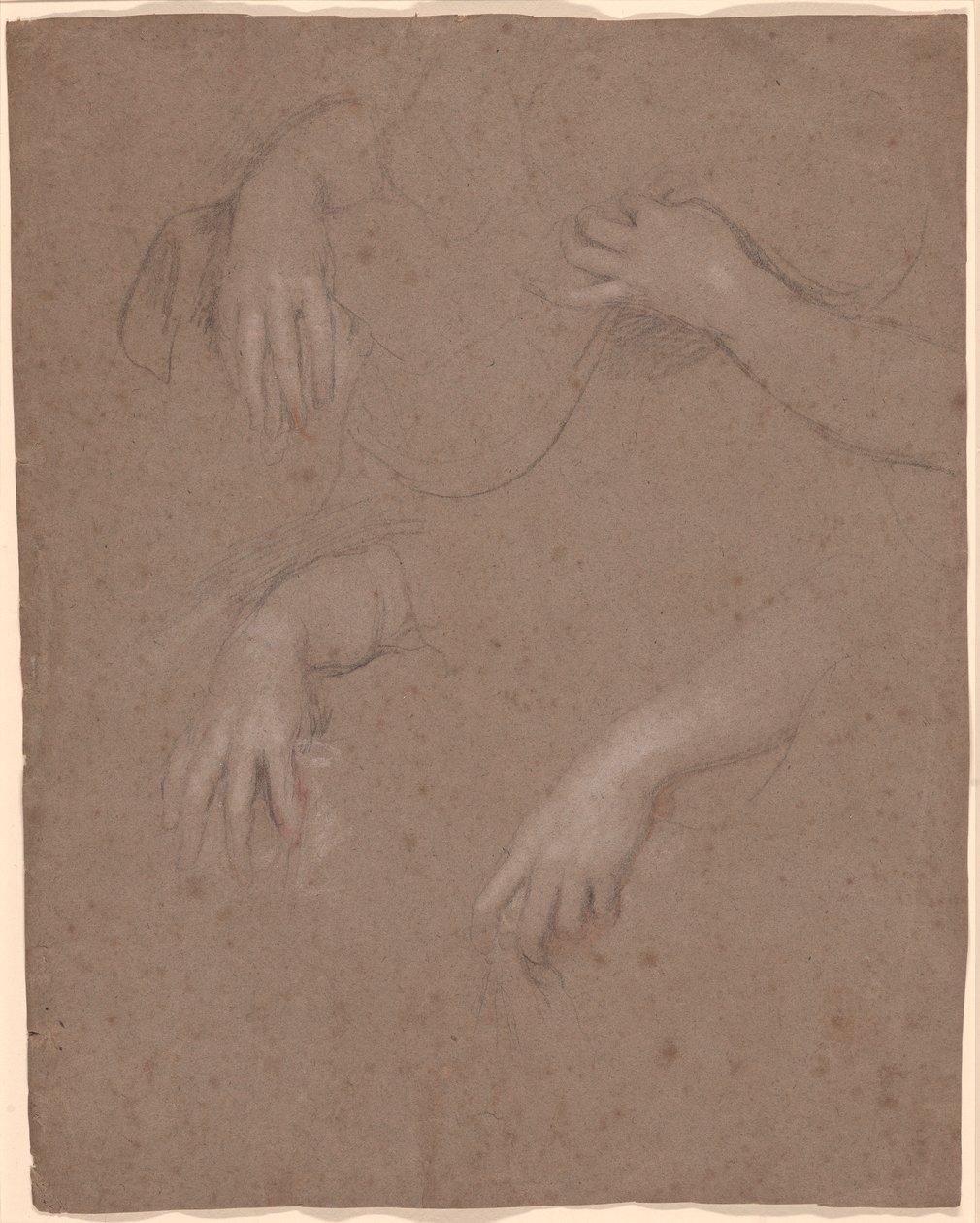 Disegni di Mani da Sir Peter Lely