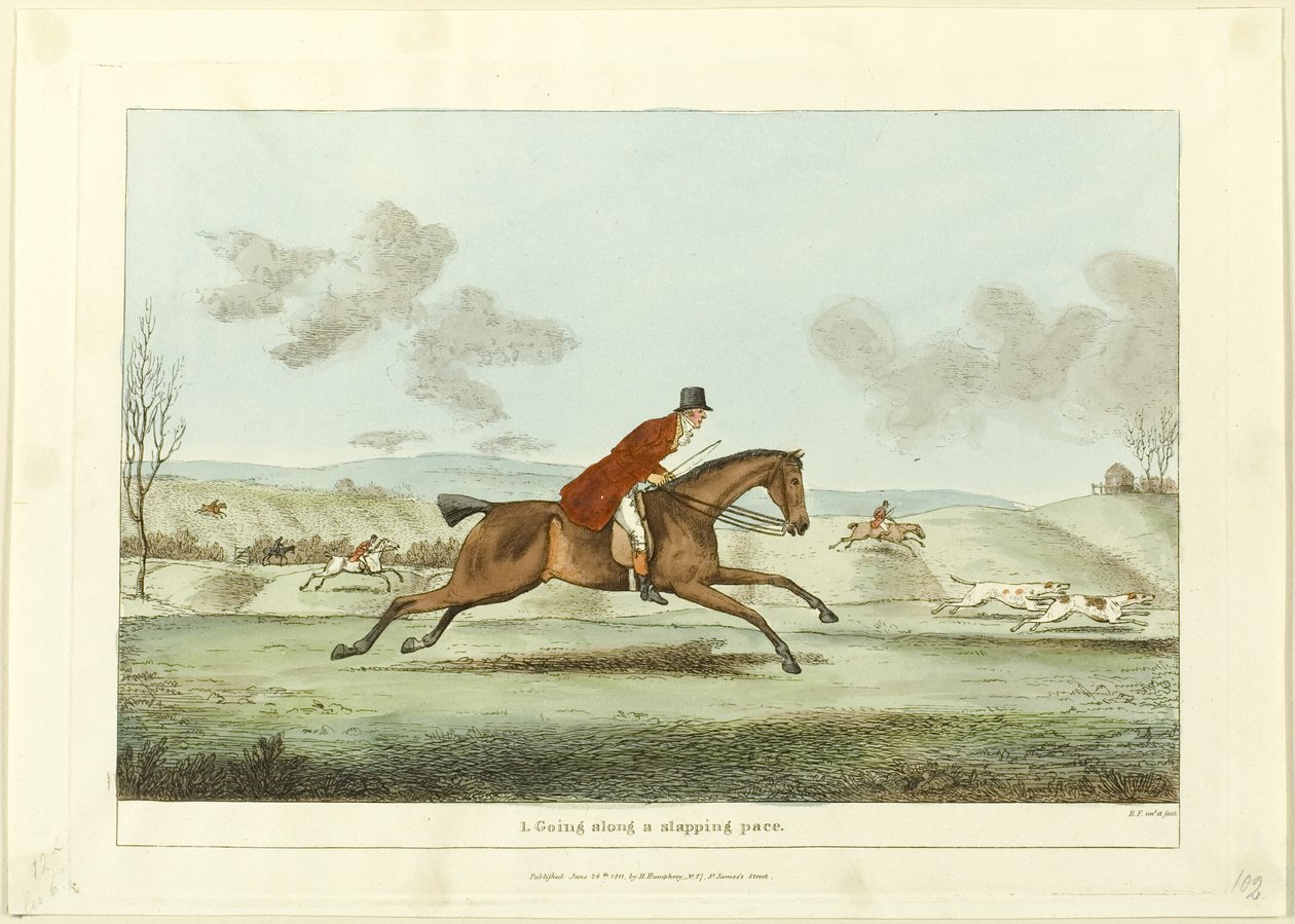 Andare a passo di sberle, piatto uno di Indispensabili realizzazioni da Sir Robert Frankland