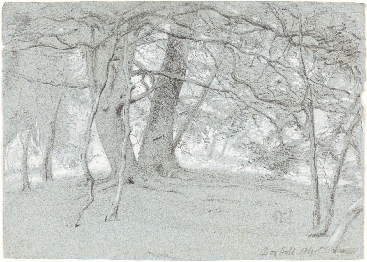Alberi a Box Hill da Sir William Blake Richmond