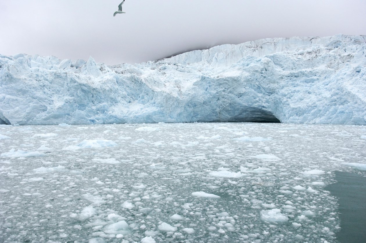 Pezzi di ghiaccio dai ghiacciai vicini galleggiano nel mare artico, Isole Svalbard, Norvegia da Sisse Brimberg