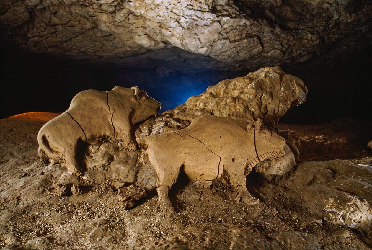 I bisonti di argilla di Le Tuc d