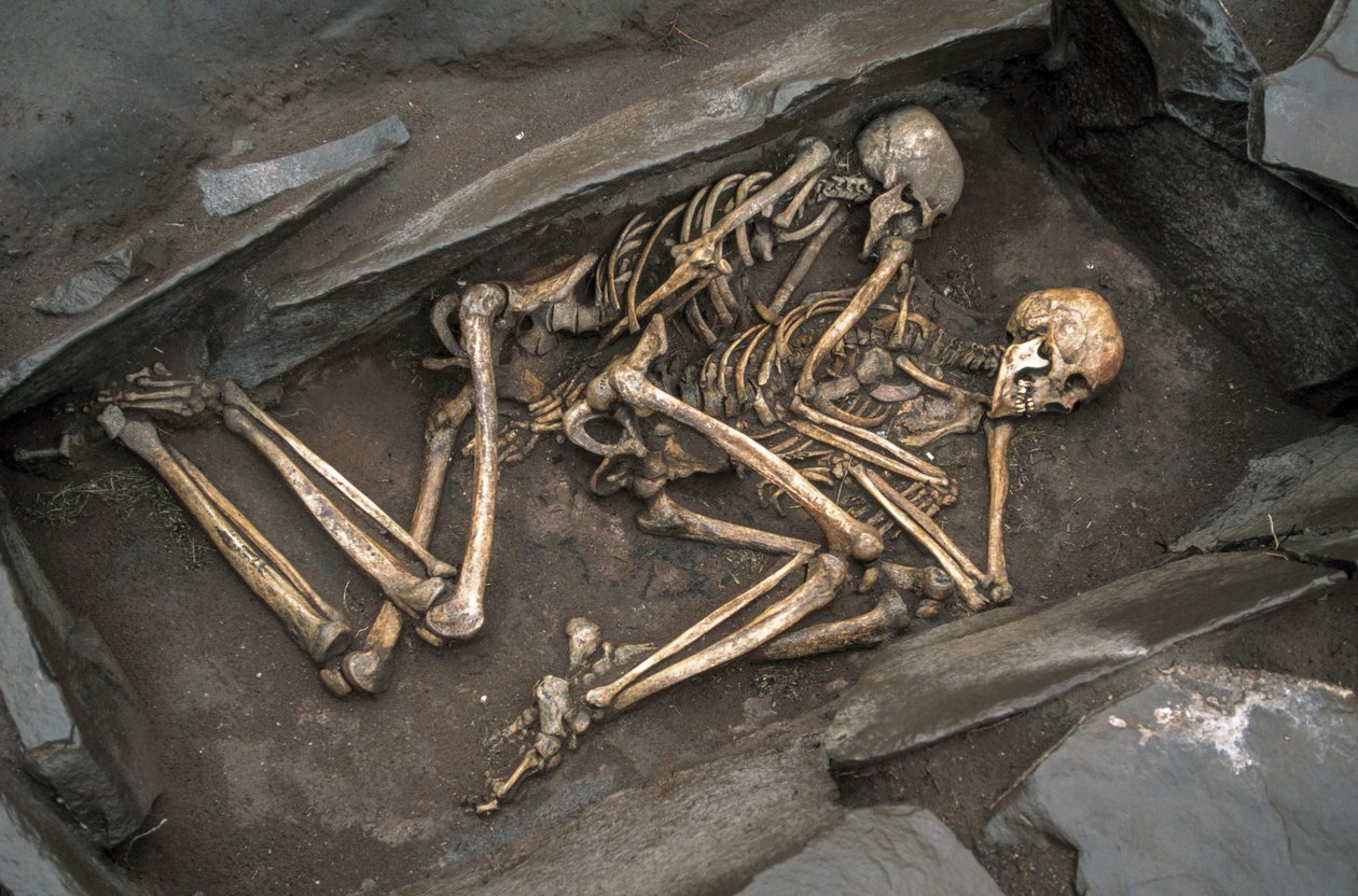 Le ossa di due sciti giacciono in una tomba di 3000 anni ad Arzhan-2, 2003 (foto) da Sisse Brimberg