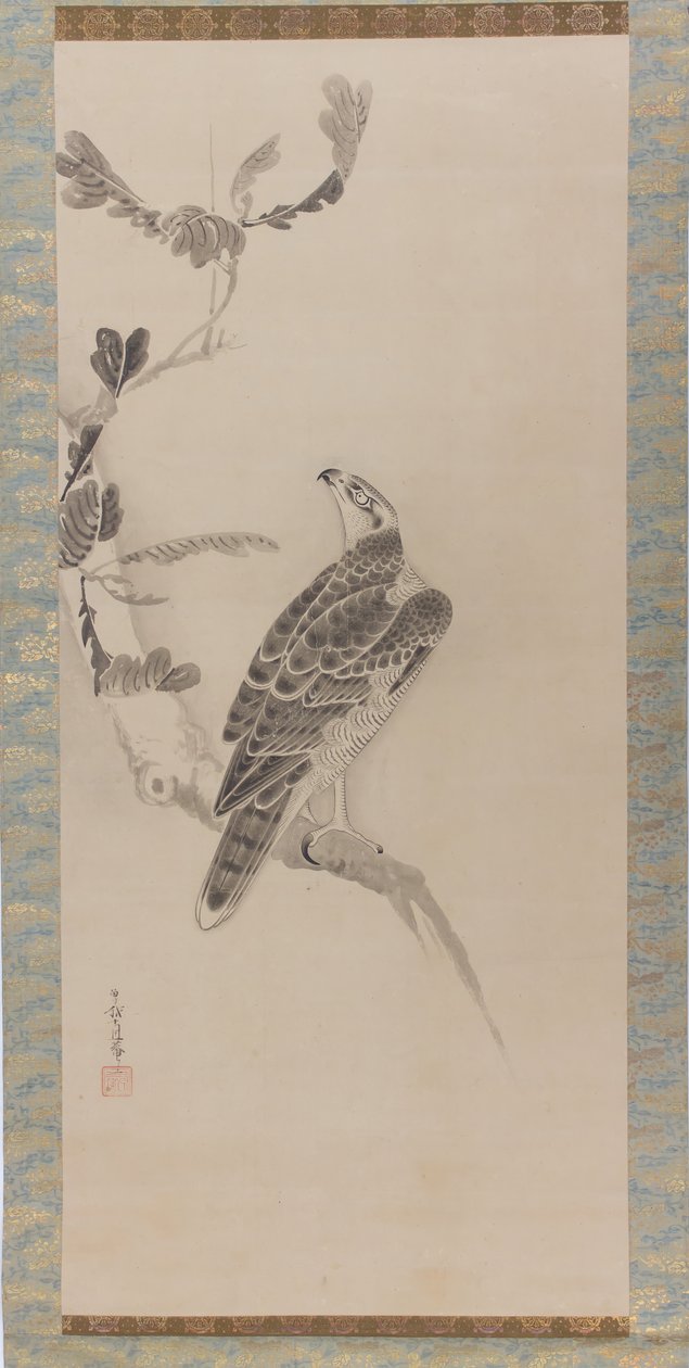 Falchi Taka zu da Soga Nichokuan
