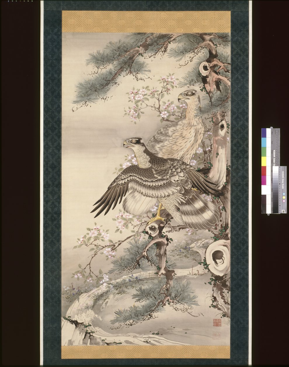 Coppia di falchi con ramo e fiori da Soga Shohaku