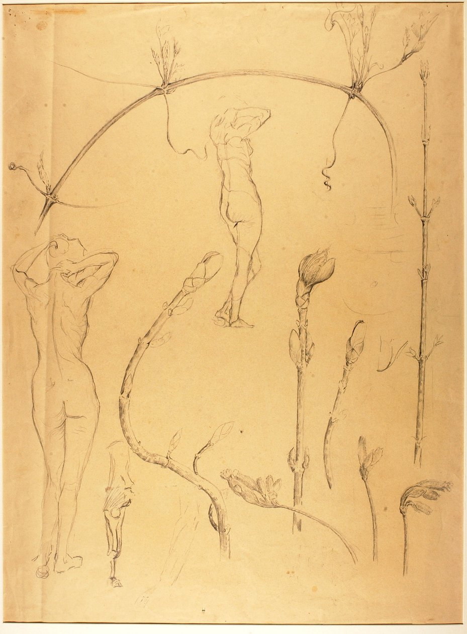 Studio di ramo e nudo da Solon H. Borglum