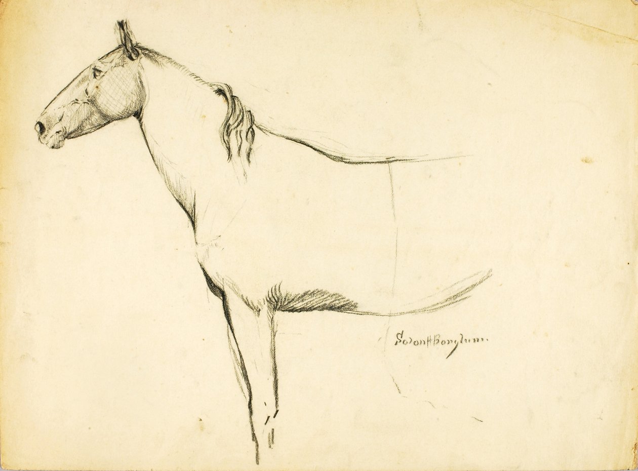 Cavallo da Solon H. Borglum