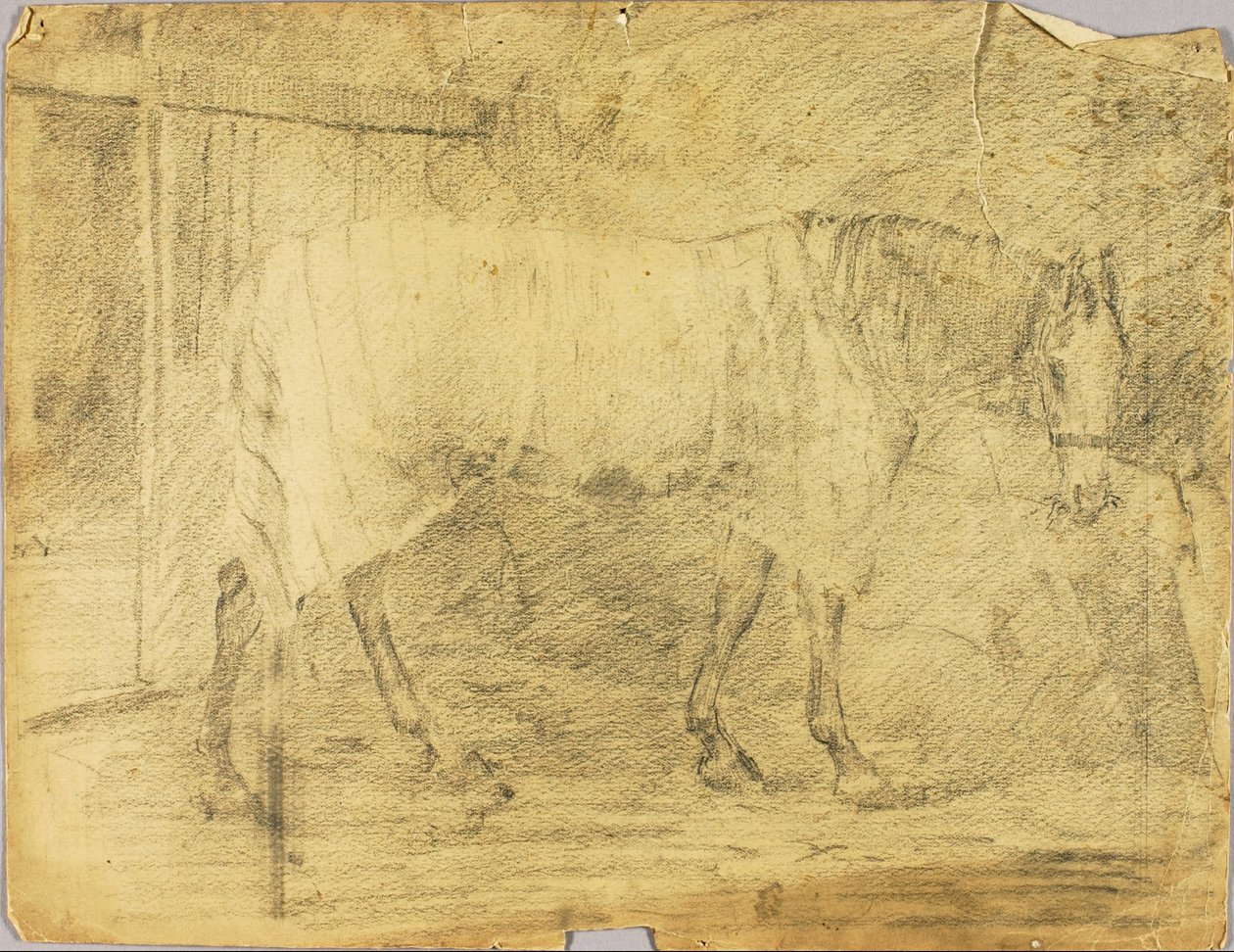Cavallo da Solon H. Borglum