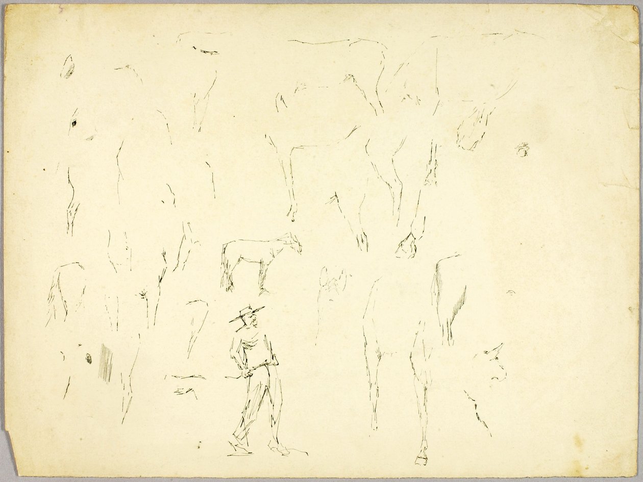 Studio sul cavallo da Solon H. Borglum