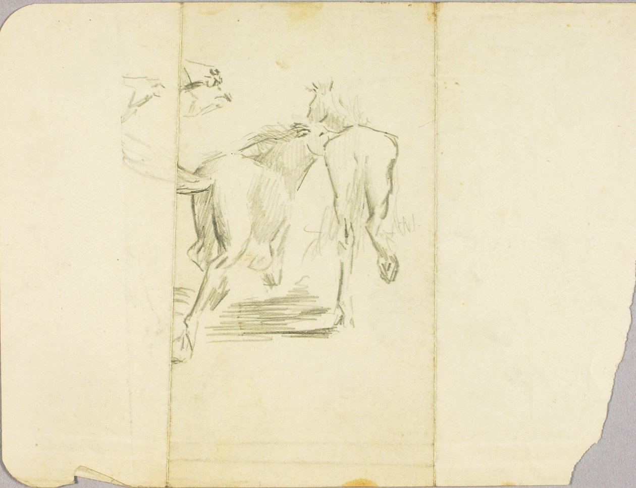 Cavalli da Solon H. Borglum
