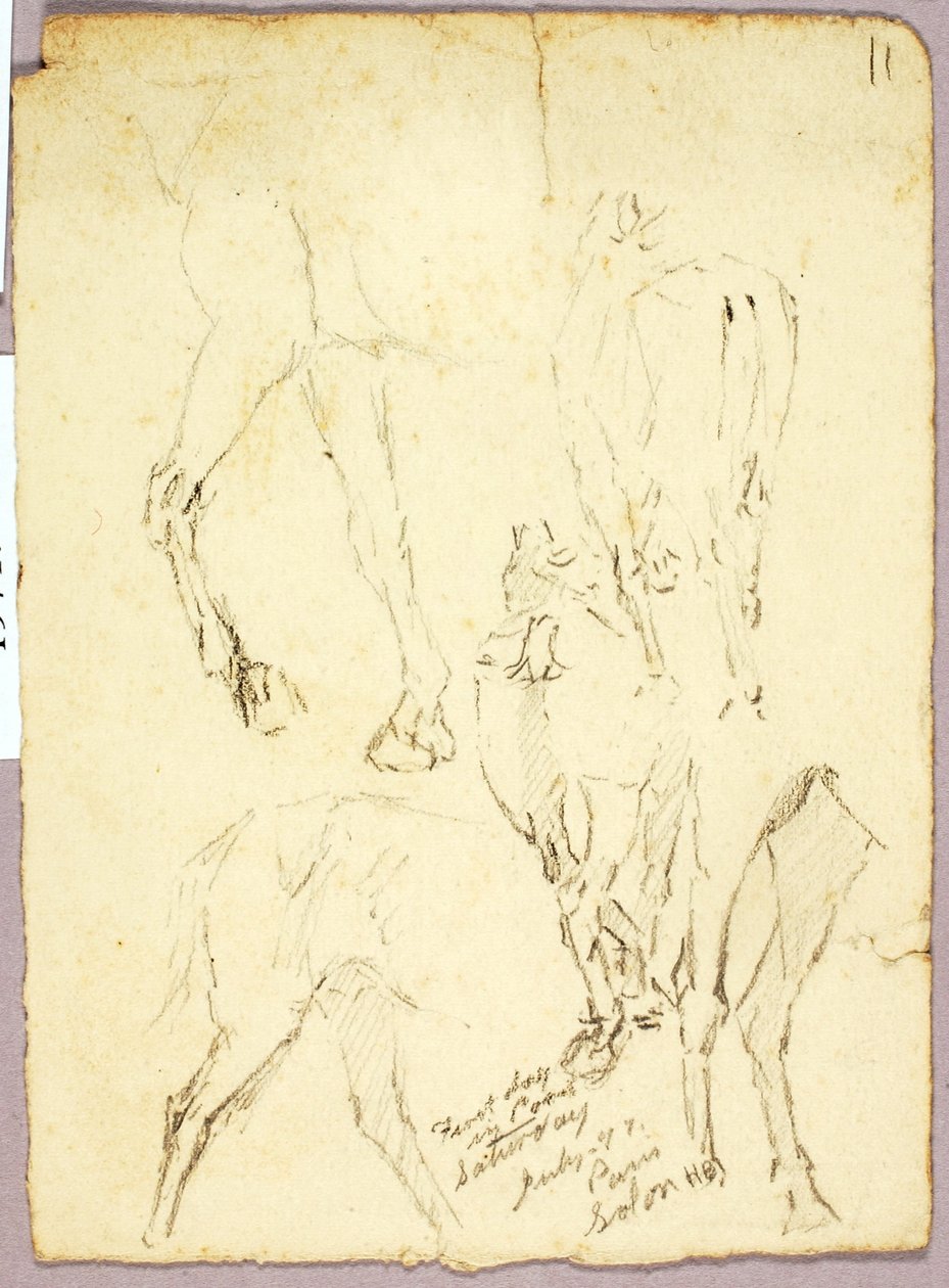 Cavalli da Solon H. Borglum