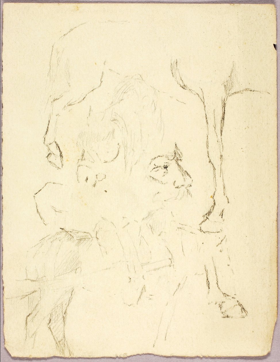 Cavalli da Solon H. Borglum