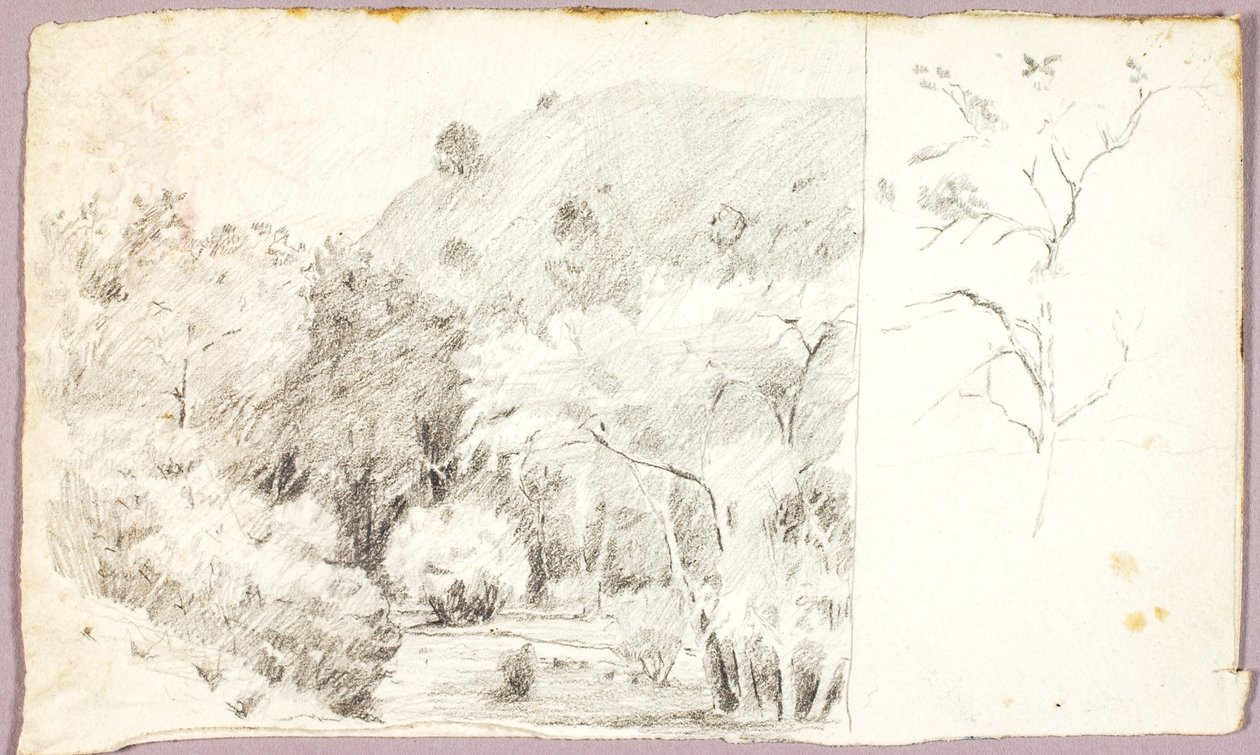 Paesaggio da Solon H. Borglum