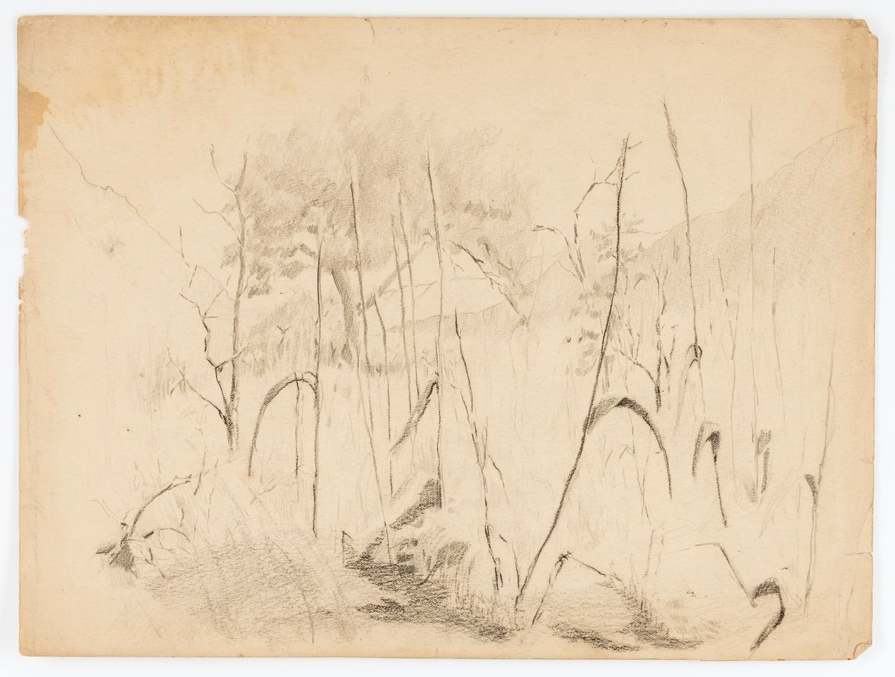 Paesaggio da Solon H. Borglum