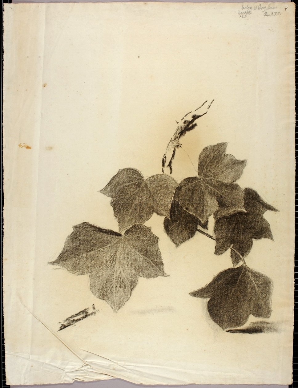 Foglie da Solon H. Borglum