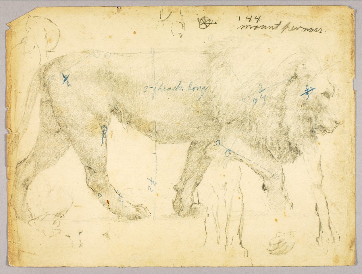 Leone da Solon H. Borglum