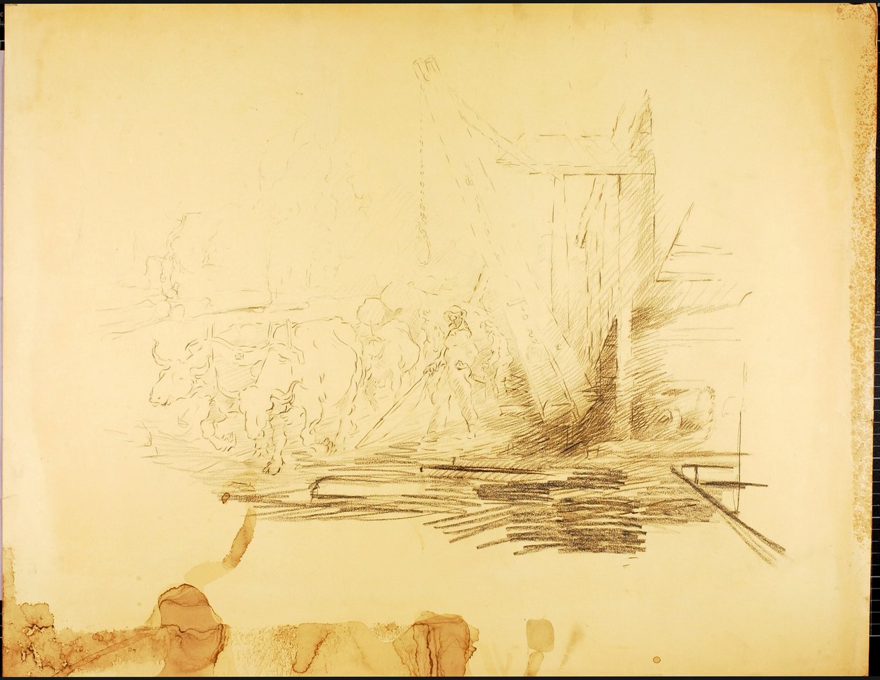 Campo di taglio da Solon H. Borglum