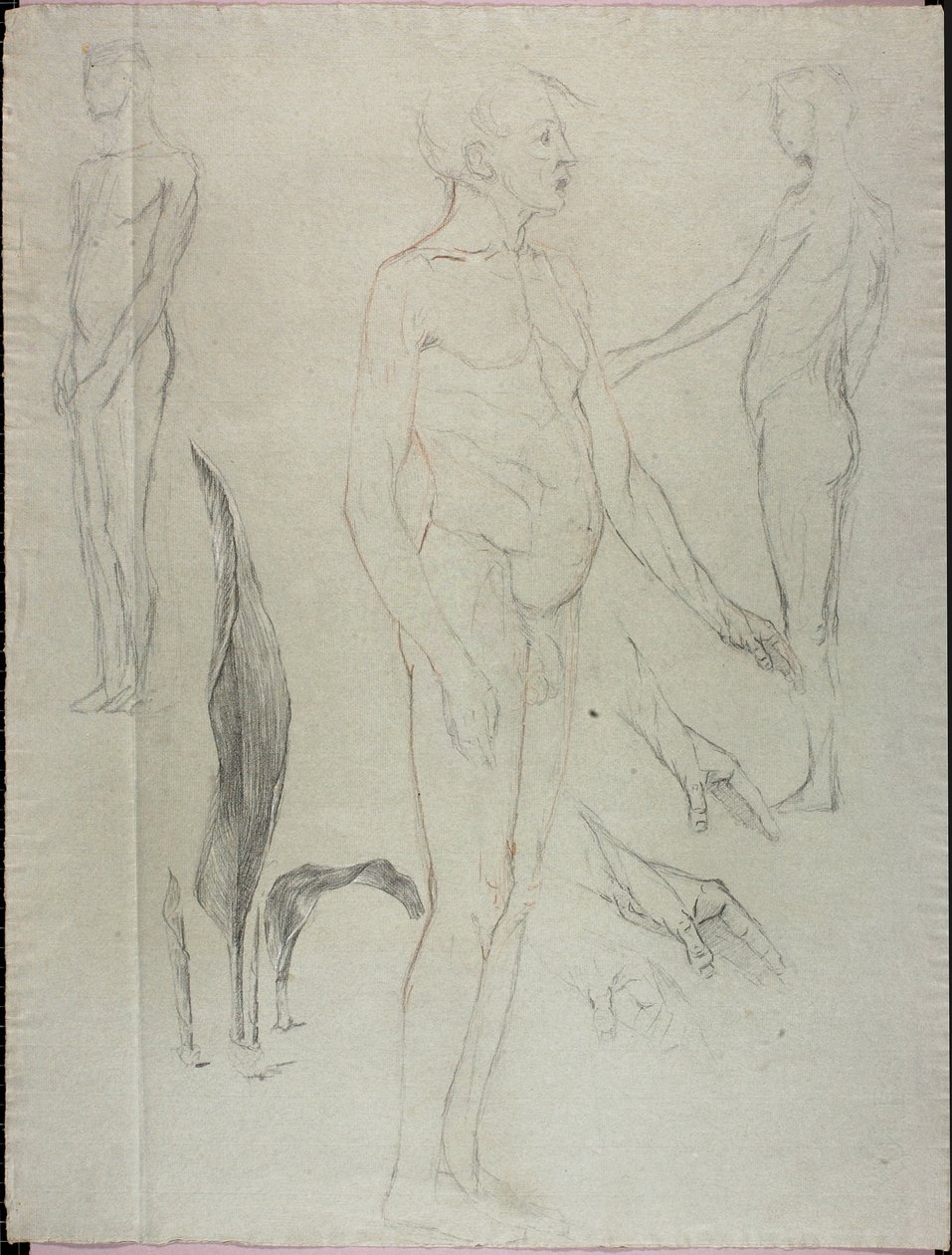 Nudi e foglie da Solon H. Borglum