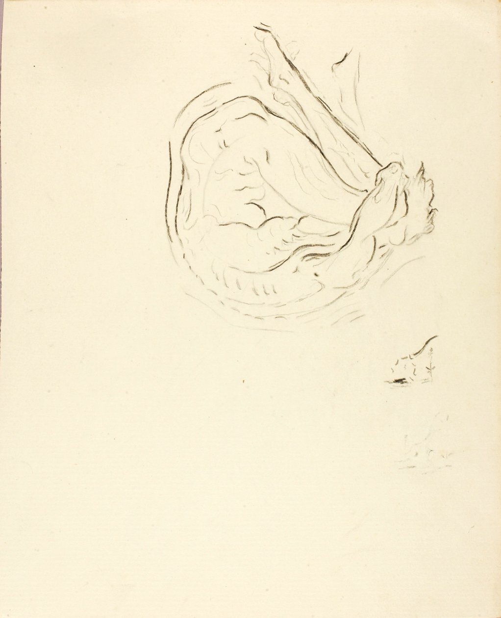 Nuotatore da Solon H. Borglum