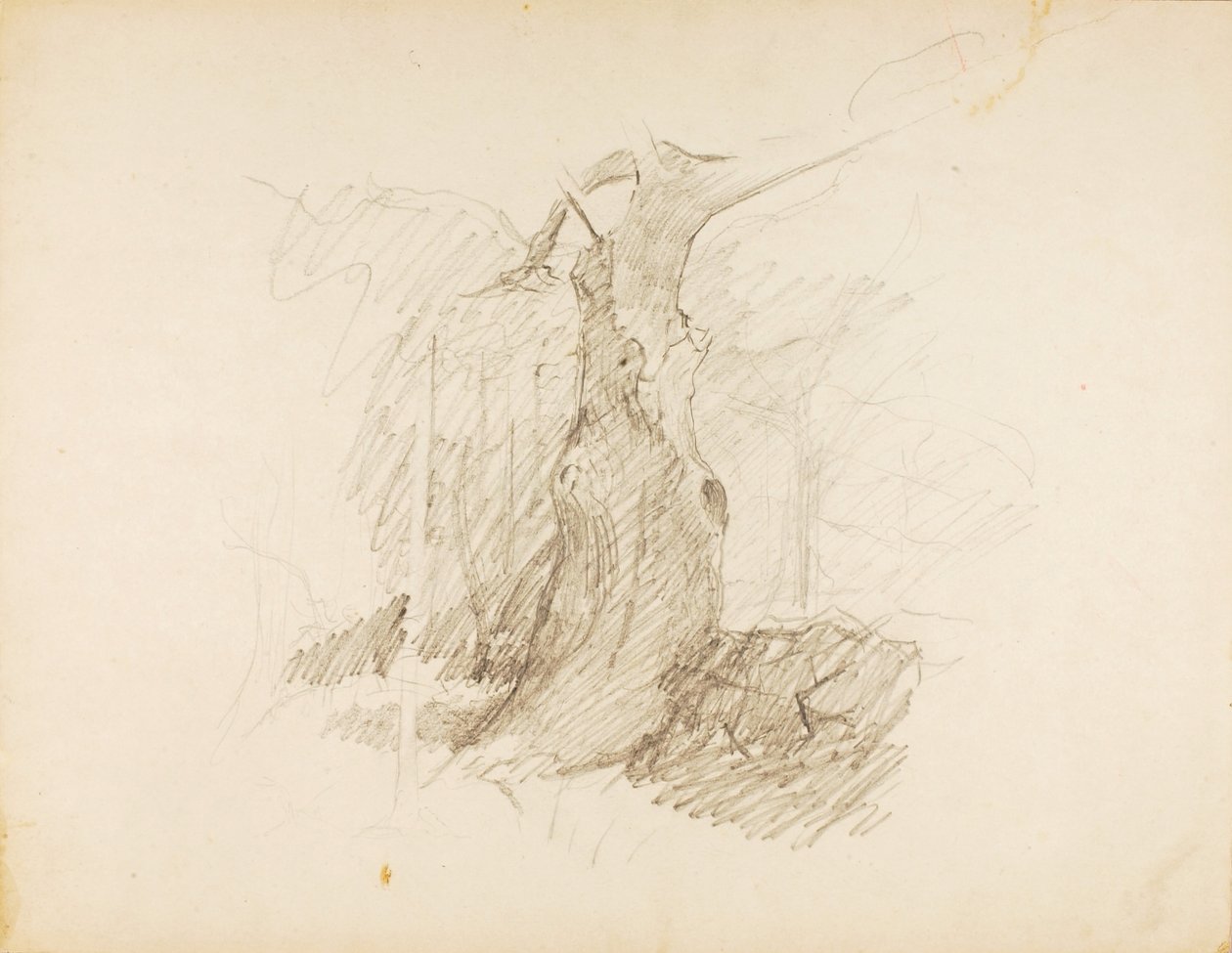 Senza titolo da Solon H. Borglum