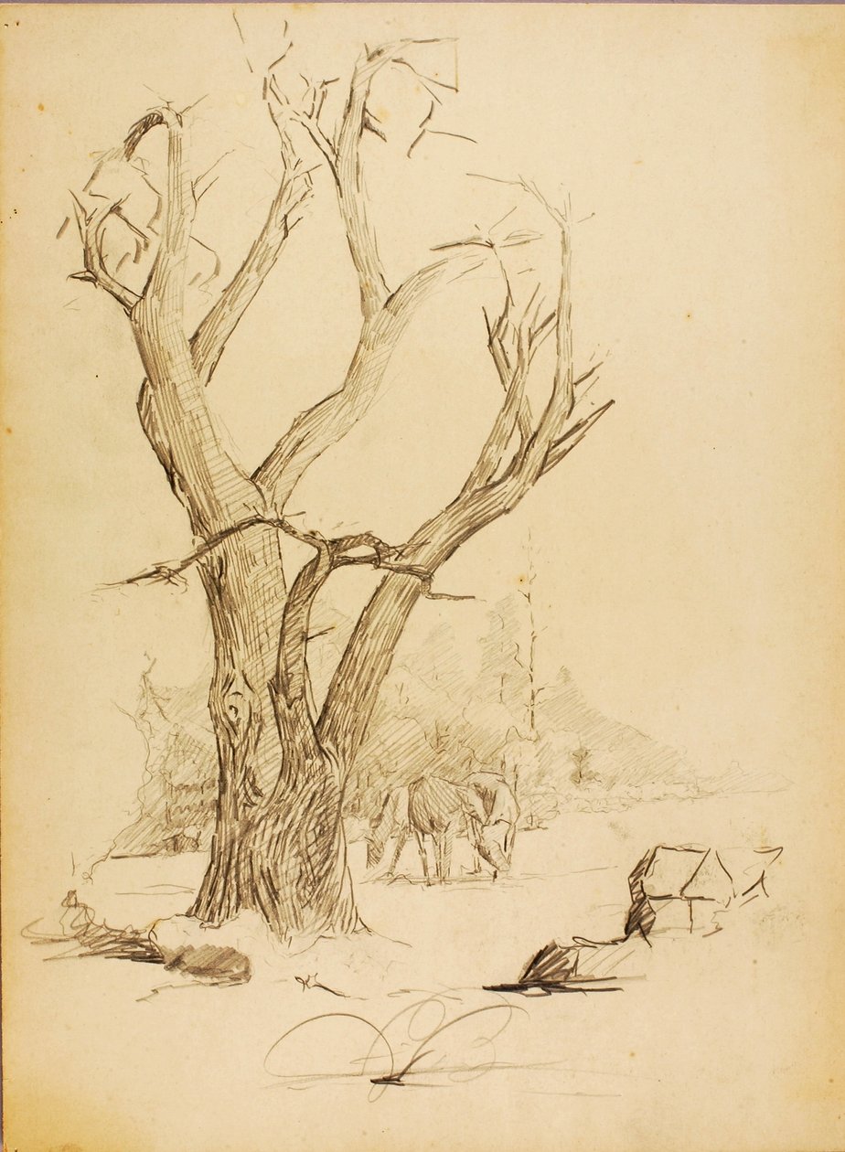 Senza titolo da Solon H. Borglum