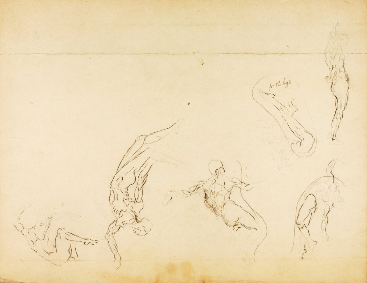 Senza titolo da Solon H. Borglum