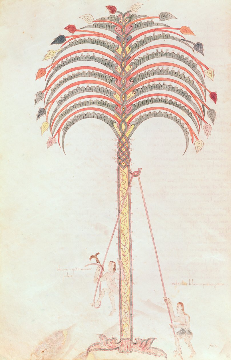 Fol.147v La metafora della palma, dal Beato di Girona da Spanish School