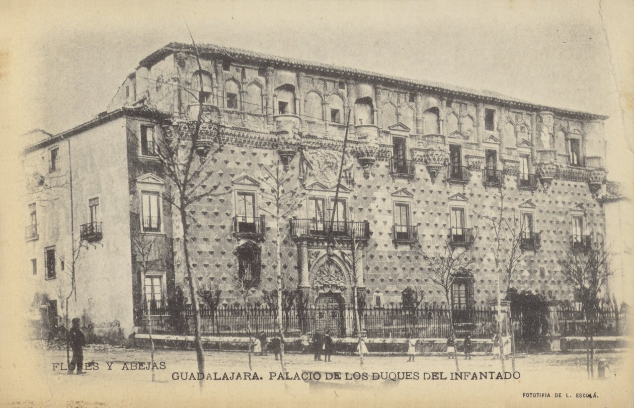 Palacio del Infantado, Gudalajara, Spagna (foto b/n) da Spanish Photographer