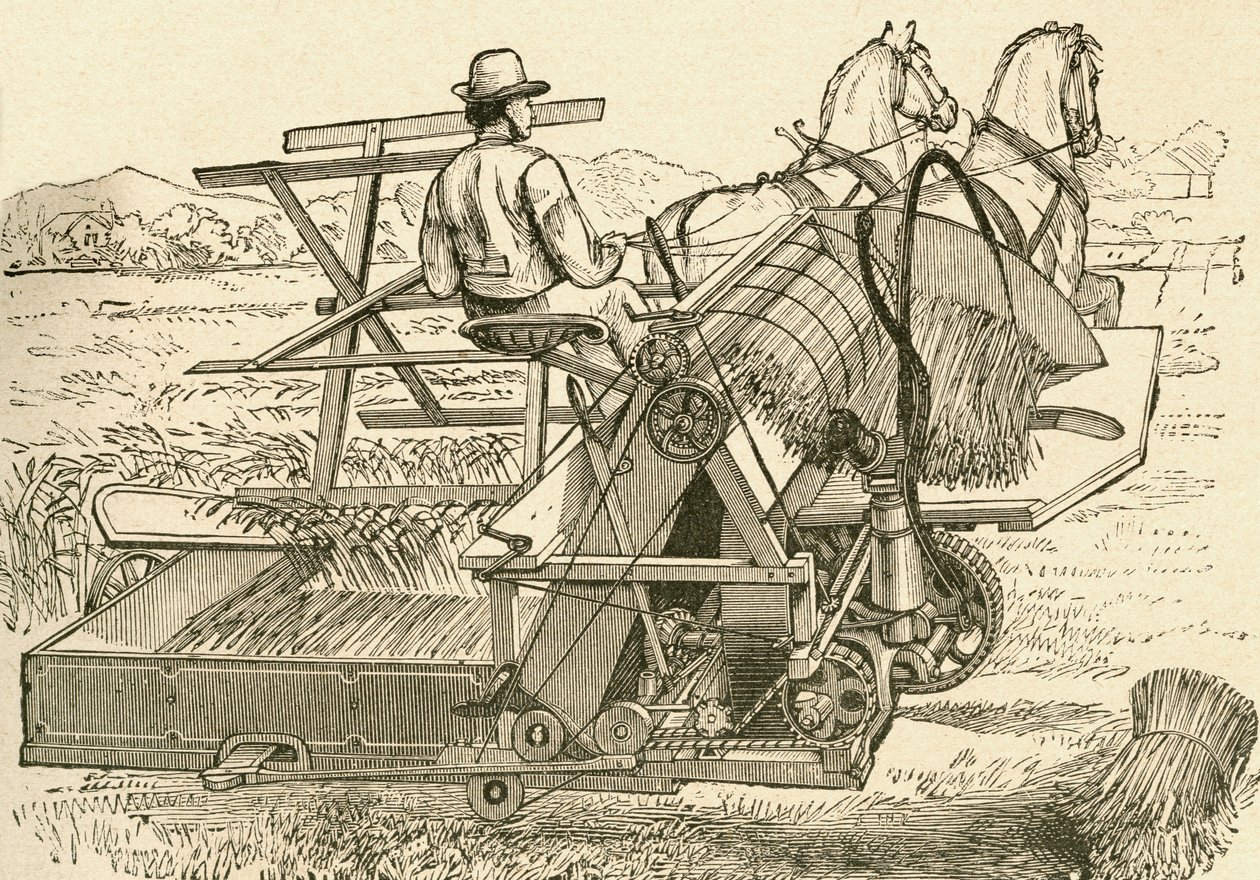 Una macchina da raccolta, trainata da cavalli, che legava meccanicamente i covoni di grano, usata alla fine del XIX secolo. Da El Museo Popular pubblicato a Madrid da Spanish School