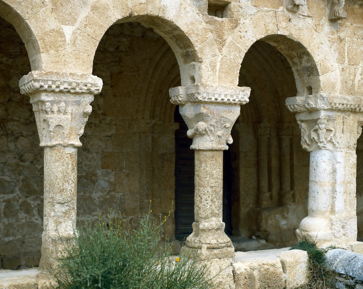Arcate dell