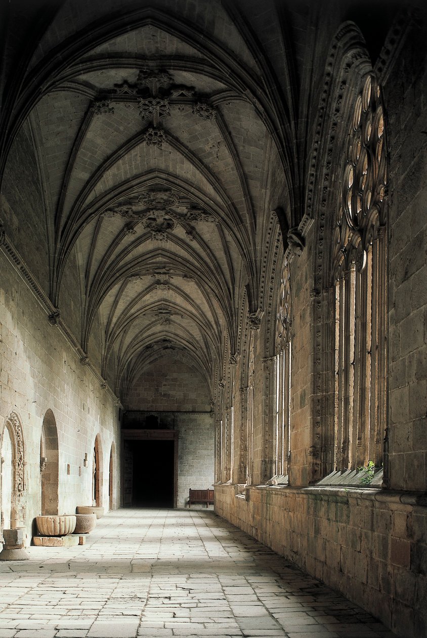 Chiostro della Cattedrale di Santa Maria de la Asuncion da Spanish School