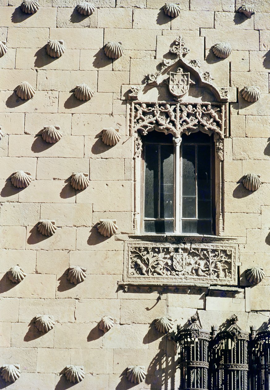 Dettaglio dell