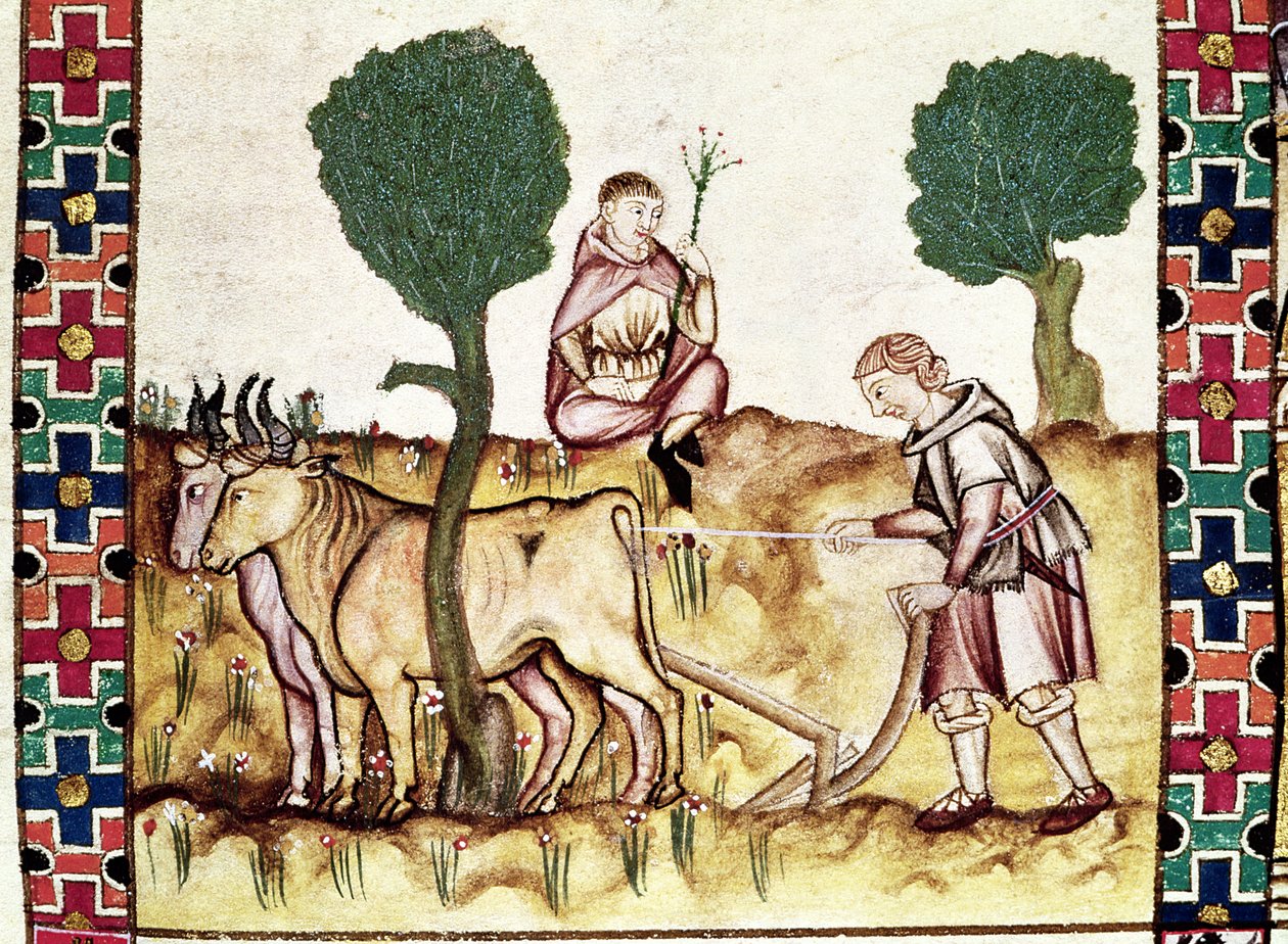 Fol.237r Un contadino che insegna a suo figlio a arare un campo da Spanish School