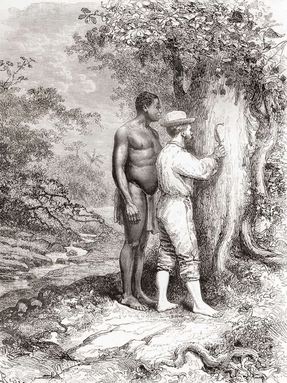 Jules Crevaux, durante la sua esplorazione della Guyana Francese nel 1878, che incide le sue iniziali su un albero sulle rive del fiume Oyapock o Oiapoque da Spanish School