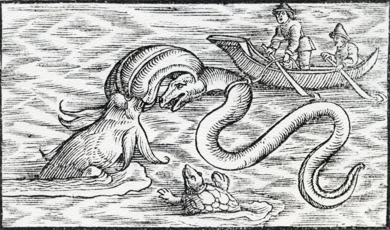 Mostri marini, 1511 da Spanish School