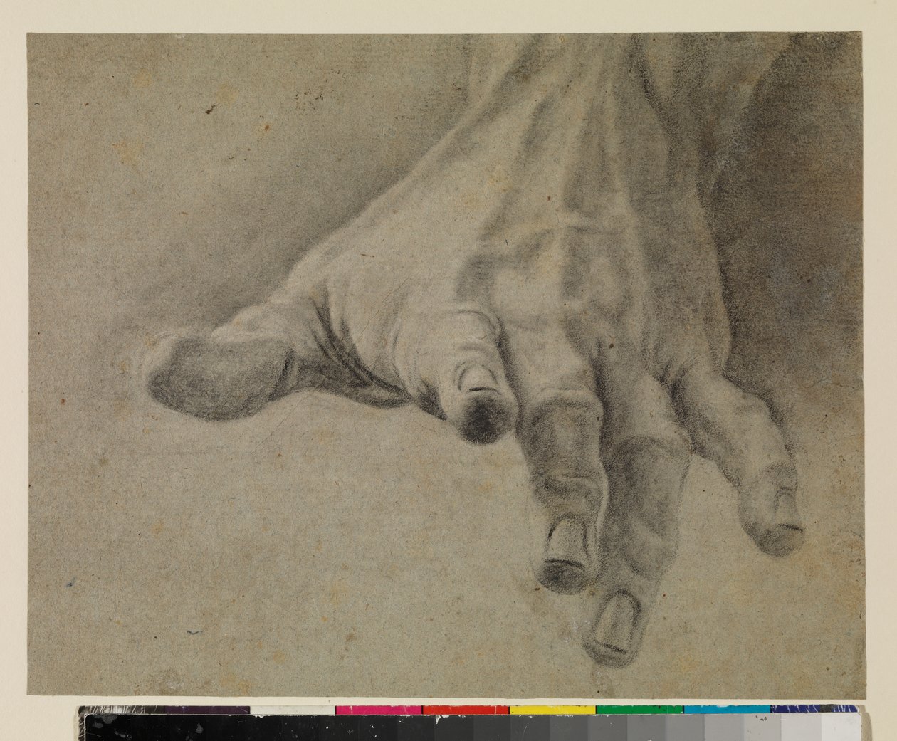 Studio di una mano sinistra, XVIII secolo da Spanish School
