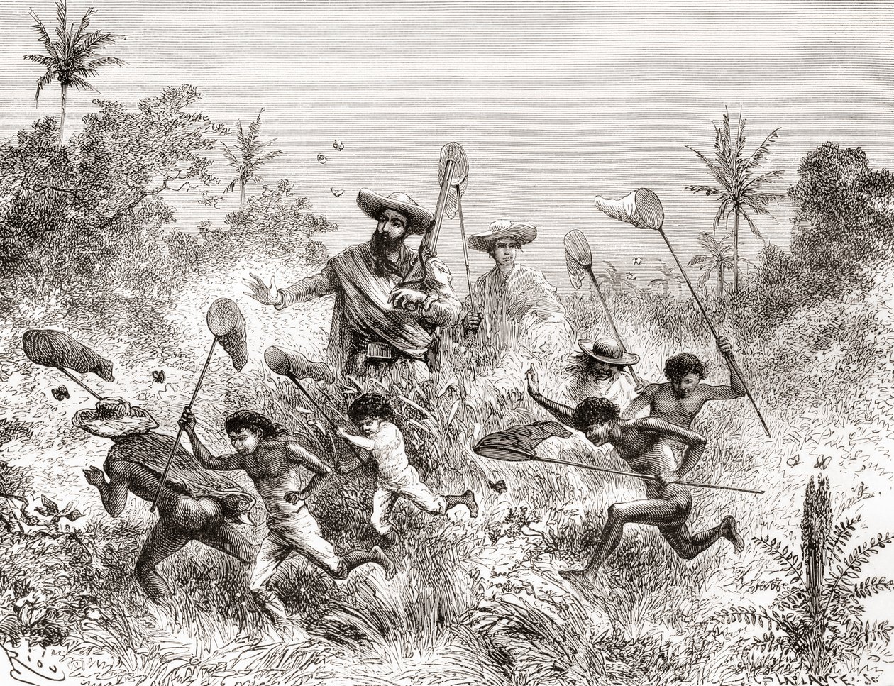 Édouard François André che cattura farfalle a Villavicencio, Venezuela durante la sua spedizione botanica ai piedi delle Ande nel 1875-76 da Spanish School