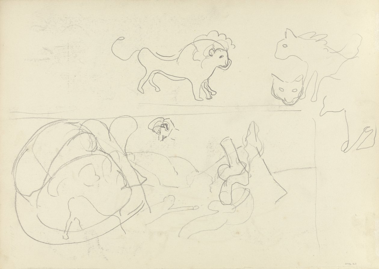 Studio di animali, per la Grotta del Vitello d