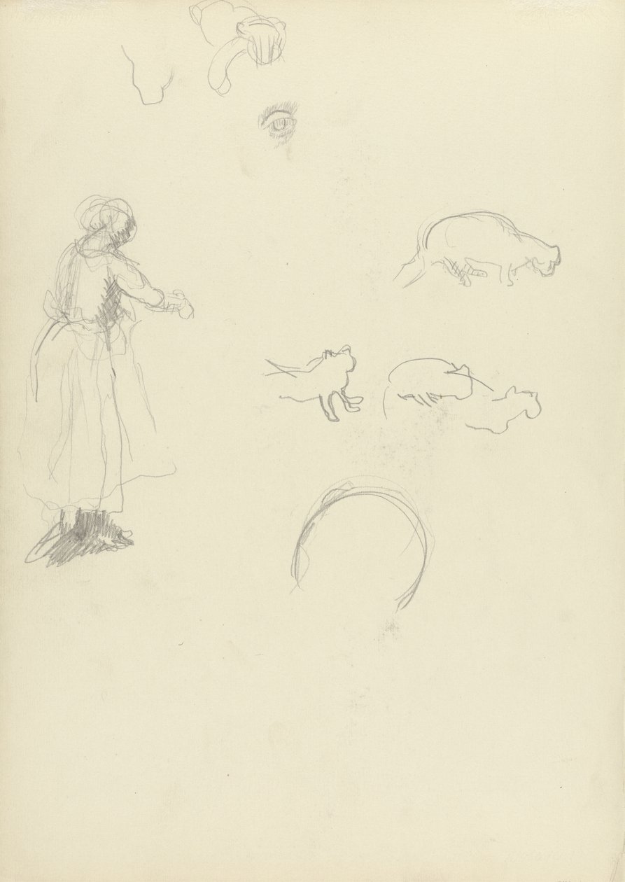 Studio di una donna e gatti, per la Grotta del Vitello d