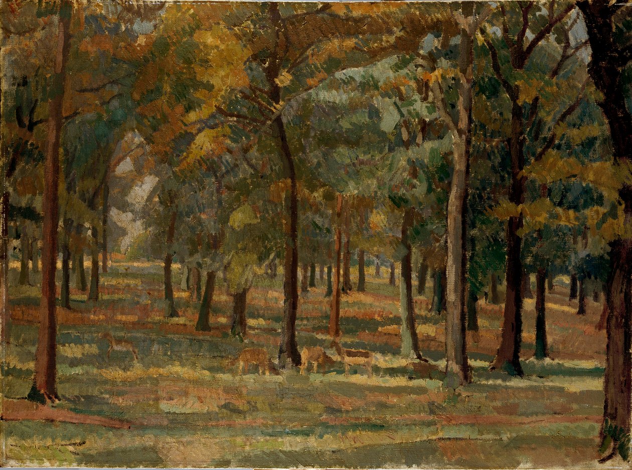 Richmond Park, 1914 da Spencer Gore