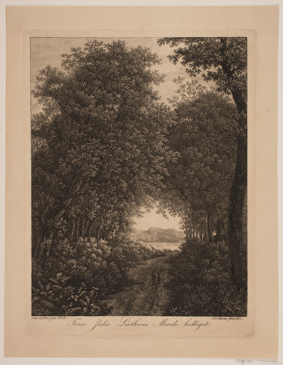 Strada forestale da Søren Henrik Petersen