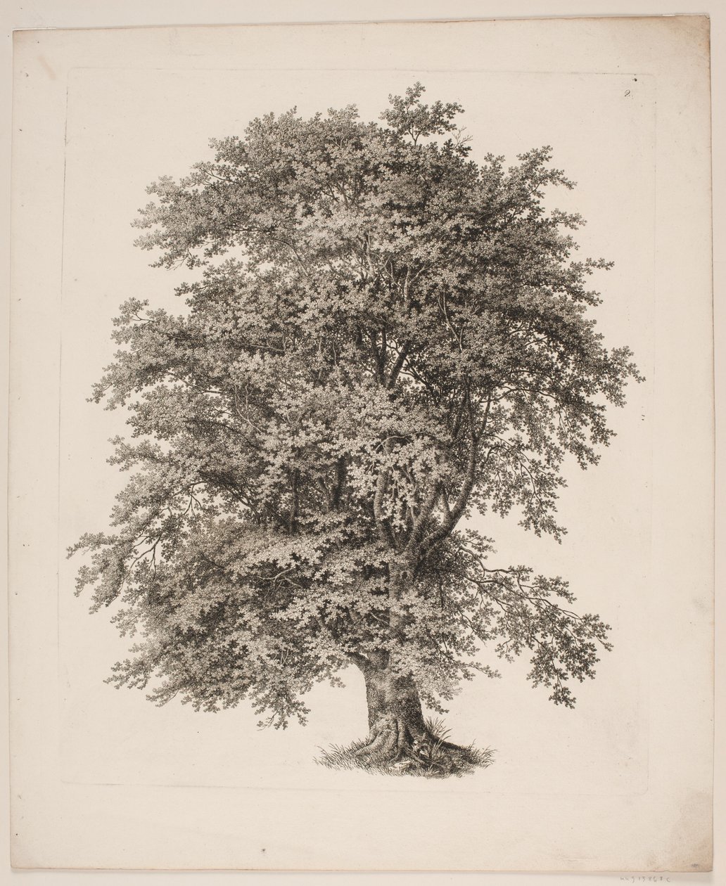 "Studi dalla natura riguardanti il disegno del paesaggio di S.H. Petersen", nr. 2 da Søren Henrik Petersen