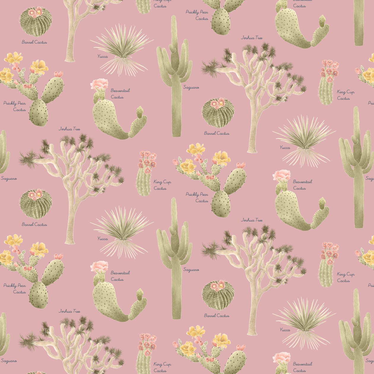 Motivo cactus del deserto del Mojave da Stacy Hsu