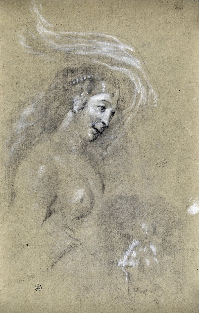 Studio di profilo di donna (disegno) da Stanislas Torrents y de Amat
